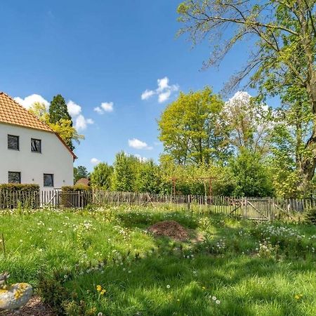 Ferienwohnung Die Paradiesische كليفي المظهر الخارجي الصورة